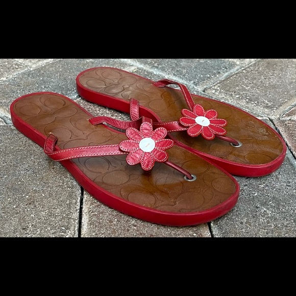 Coach Shoes - Coach Lucie sandals
